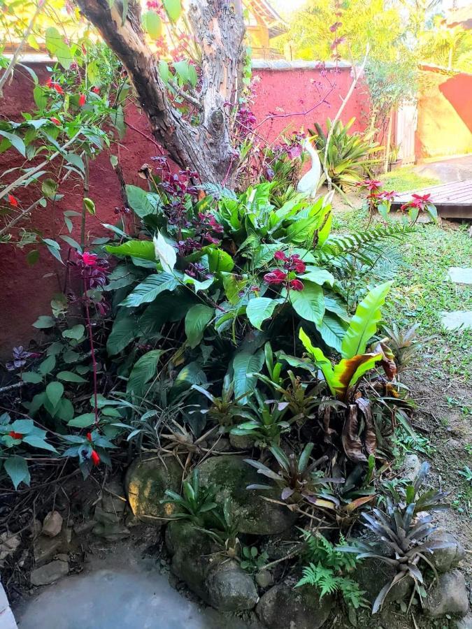 Casa Cravo & Canela 圣佩德罗塞拉 外观 照片